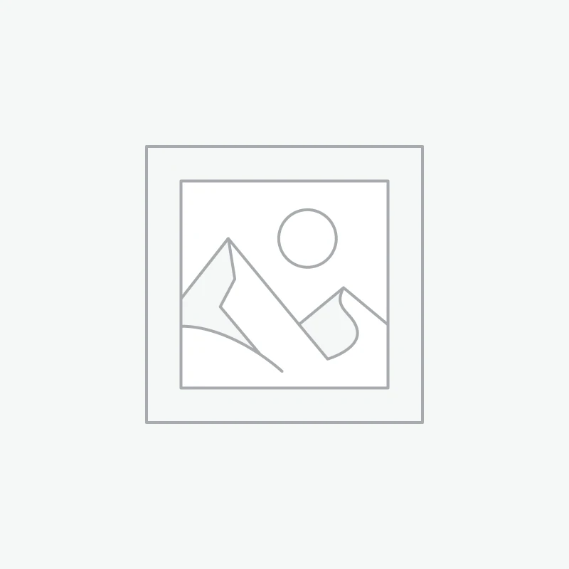 Chocolate Covered Strawberries