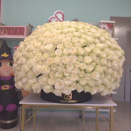 Luxury Round Box with 600 white Roses